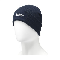blau (± PMS 533C)